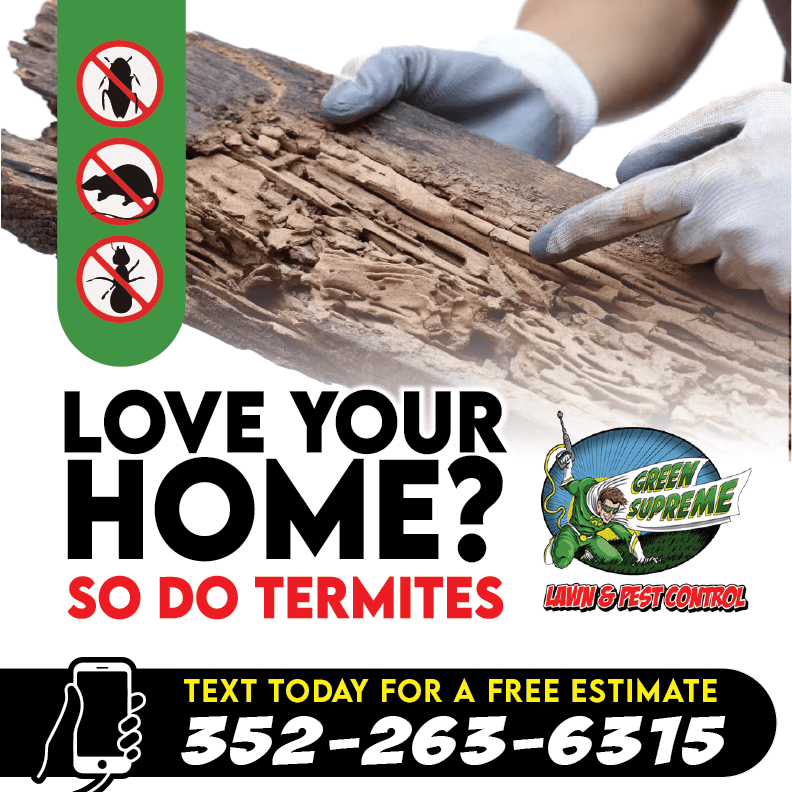 Social Media Graphic